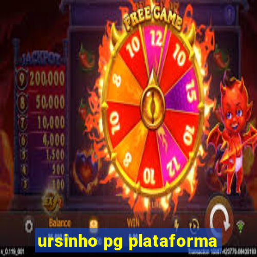 ursinho pg plataforma