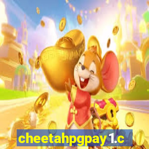 cheetahpgpay1.com