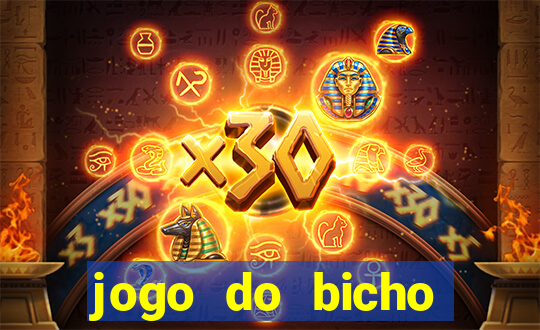 jogo do bicho tipos de apostas