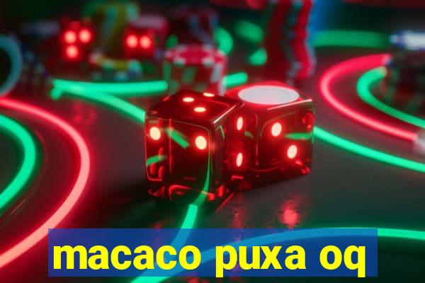 macaco puxa oq