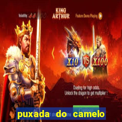 puxada do camelo no jogo do bicho