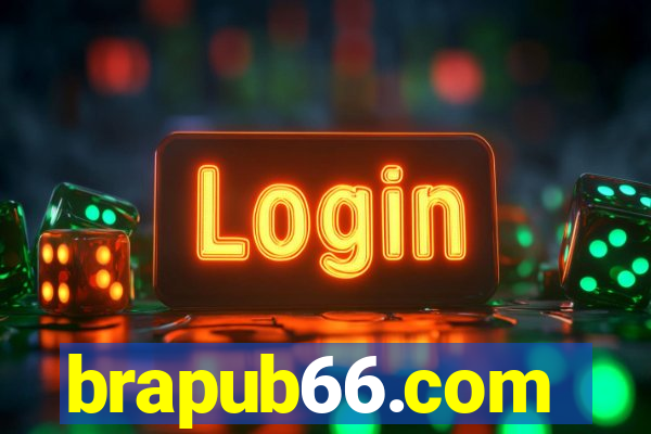 brapub66.com