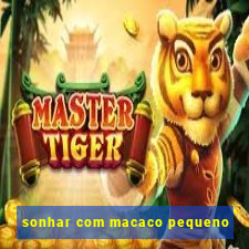 sonhar com macaco pequeno