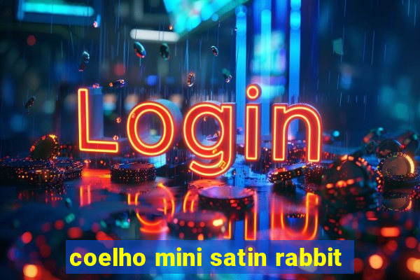 coelho mini satin rabbit