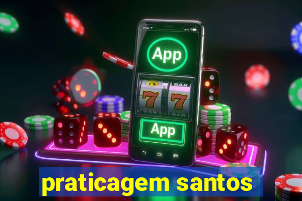 praticagem santos