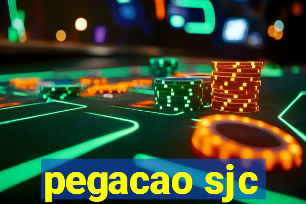 pegacao sjc